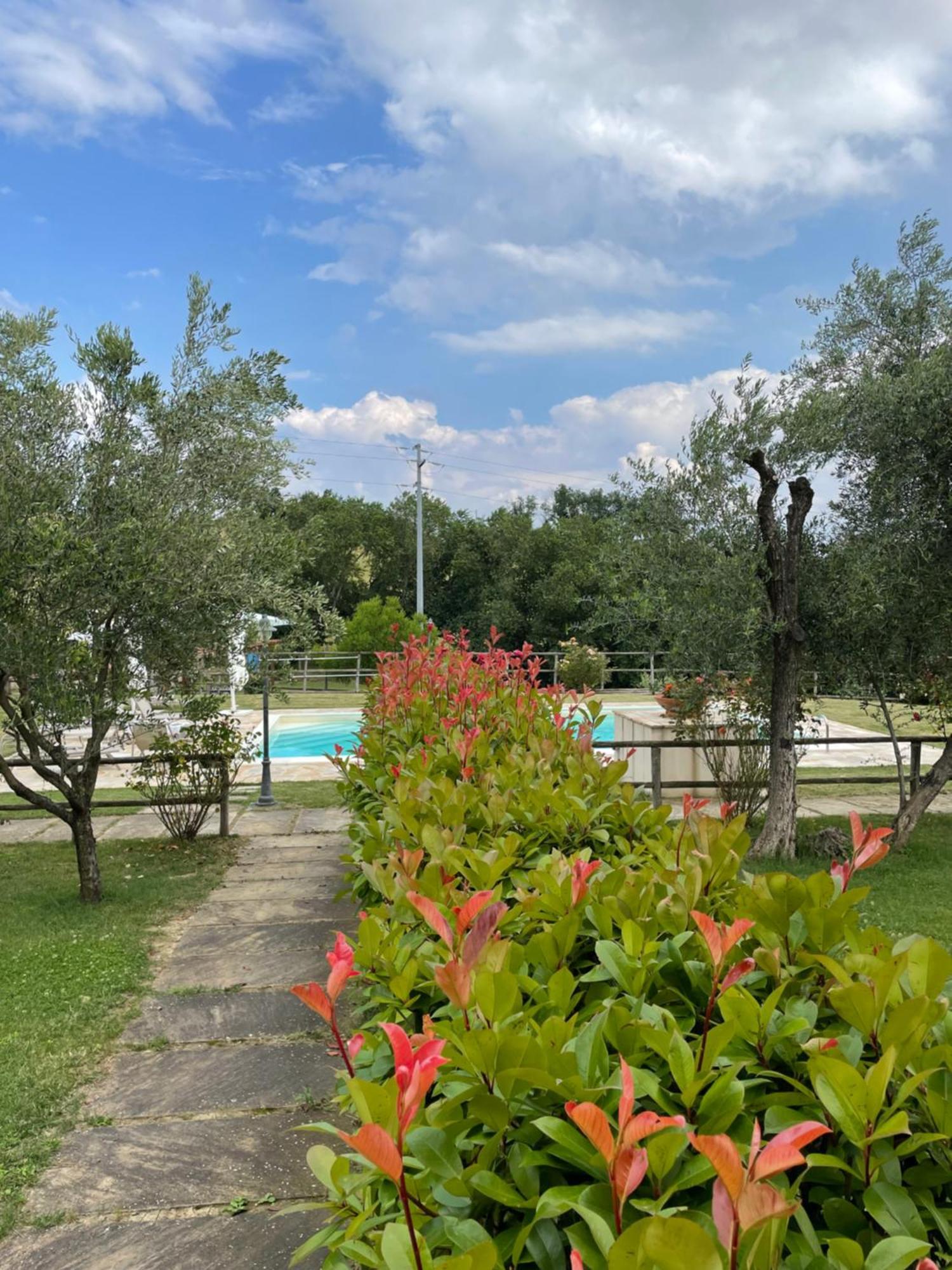 Montenovo Country House Ostra Vetere Eksteriør bilde