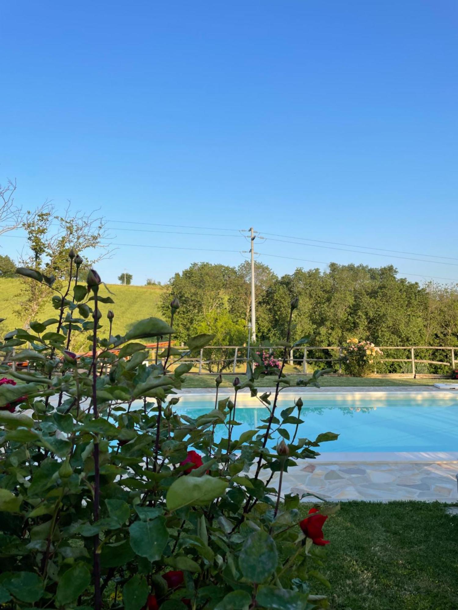 Montenovo Country House Ostra Vetere Eksteriør bilde