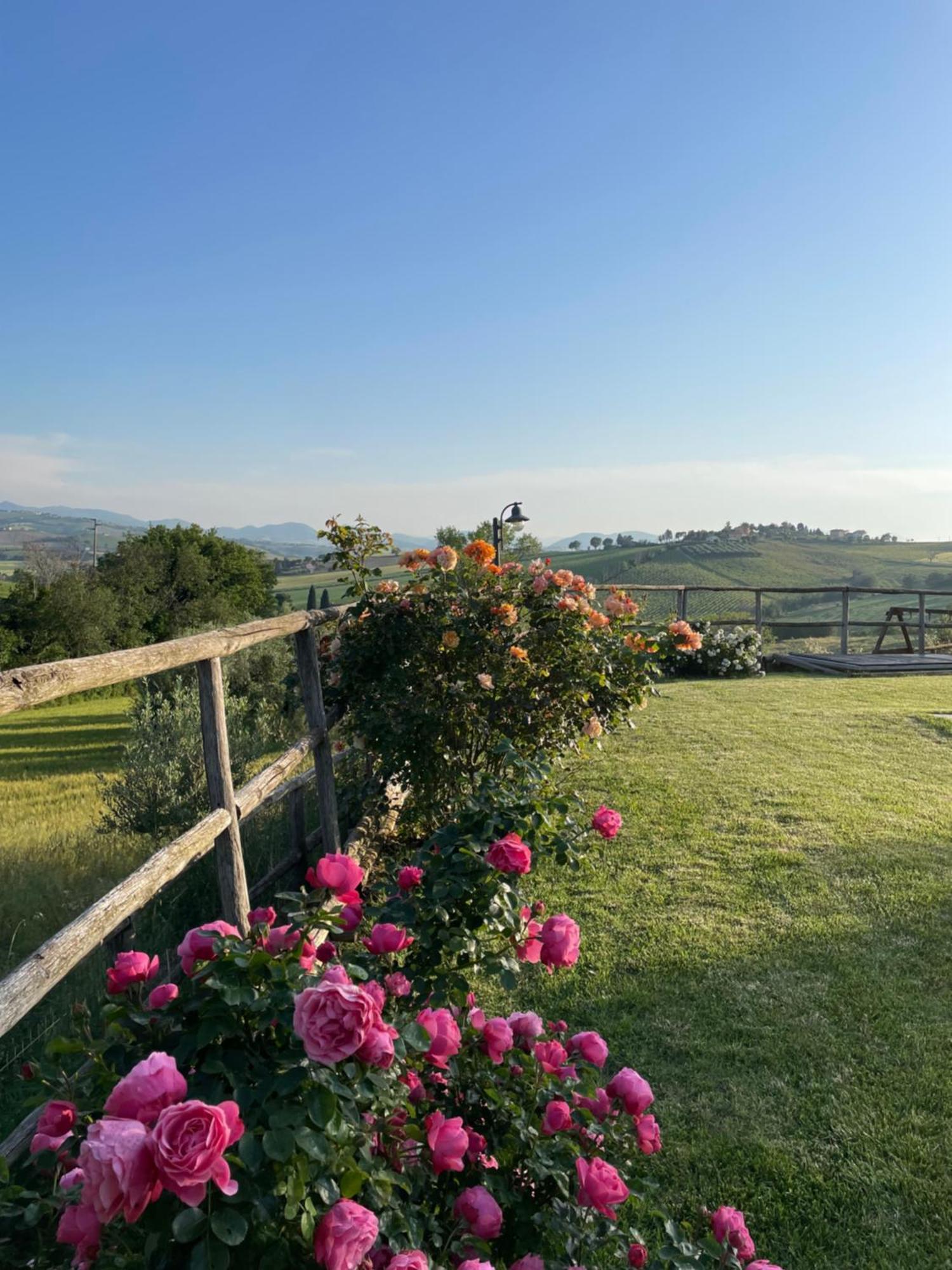 Montenovo Country House Ostra Vetere Eksteriør bilde