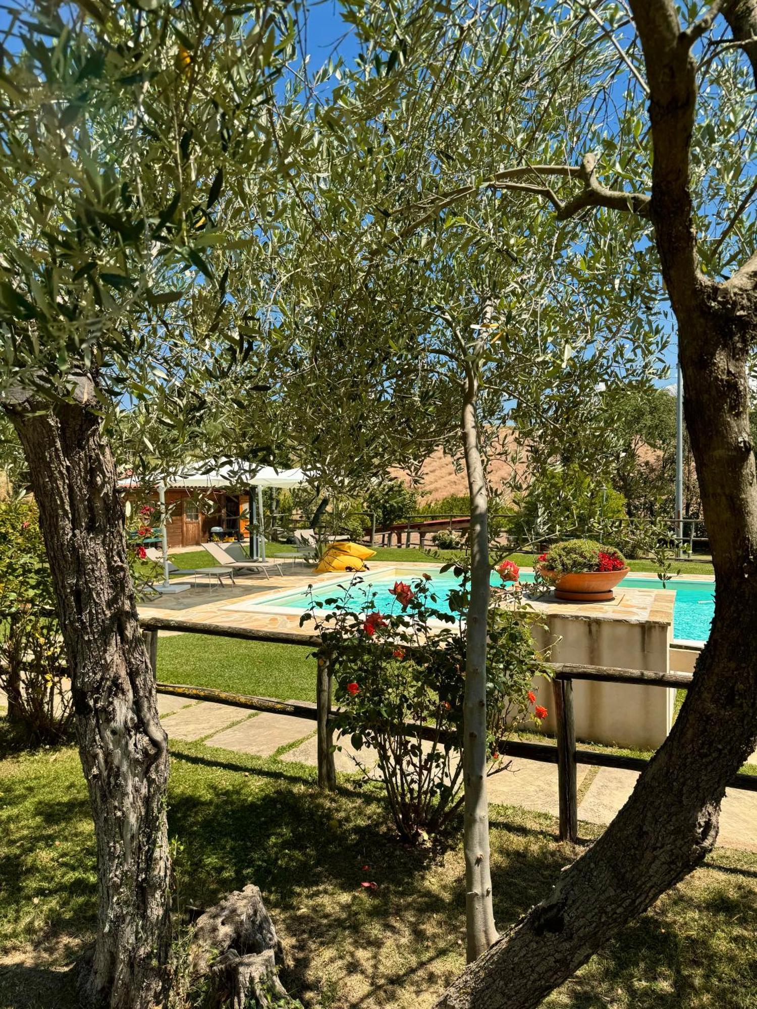 Montenovo Country House Ostra Vetere Eksteriør bilde