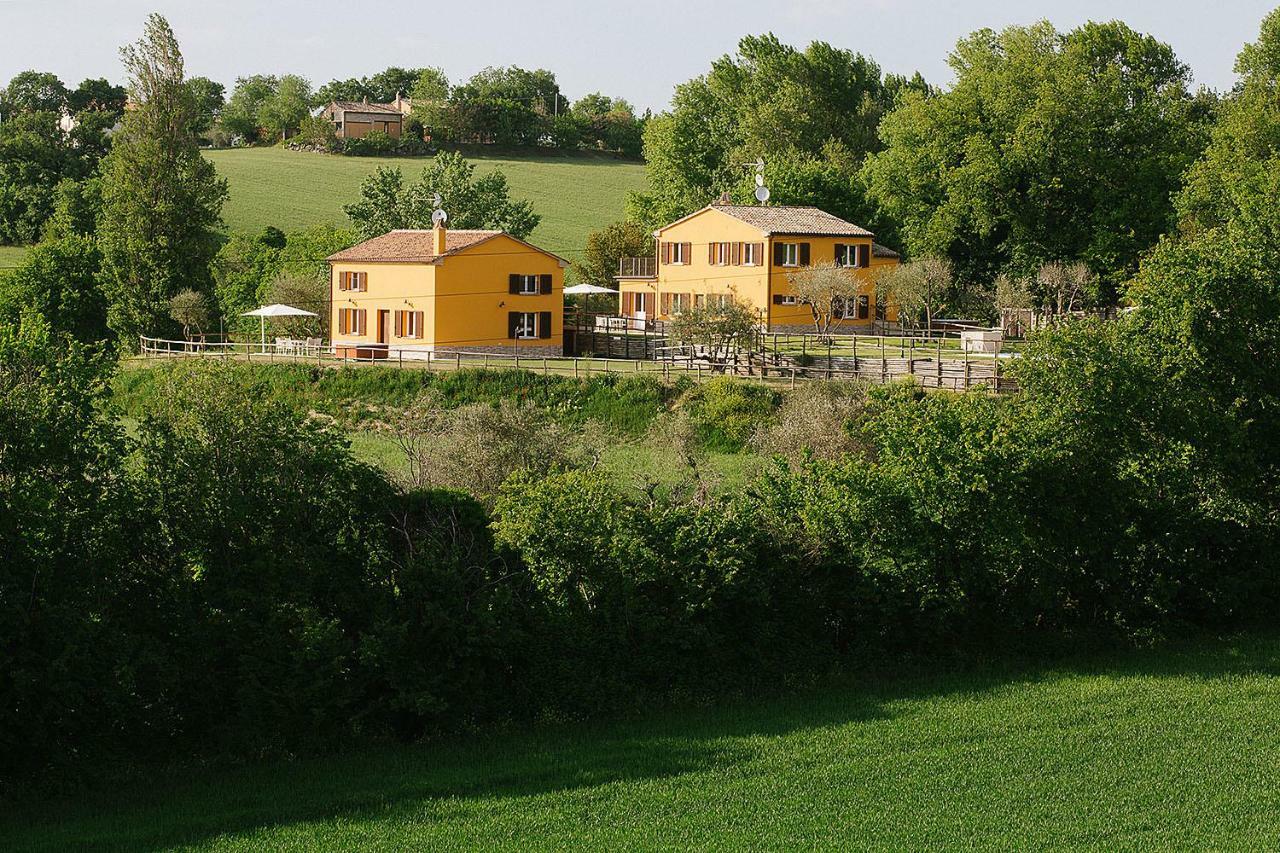 Montenovo Country House Ostra Vetere Eksteriør bilde